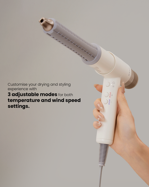 Luxx Air Flair Multi-Functional Hair Styler & Dryer